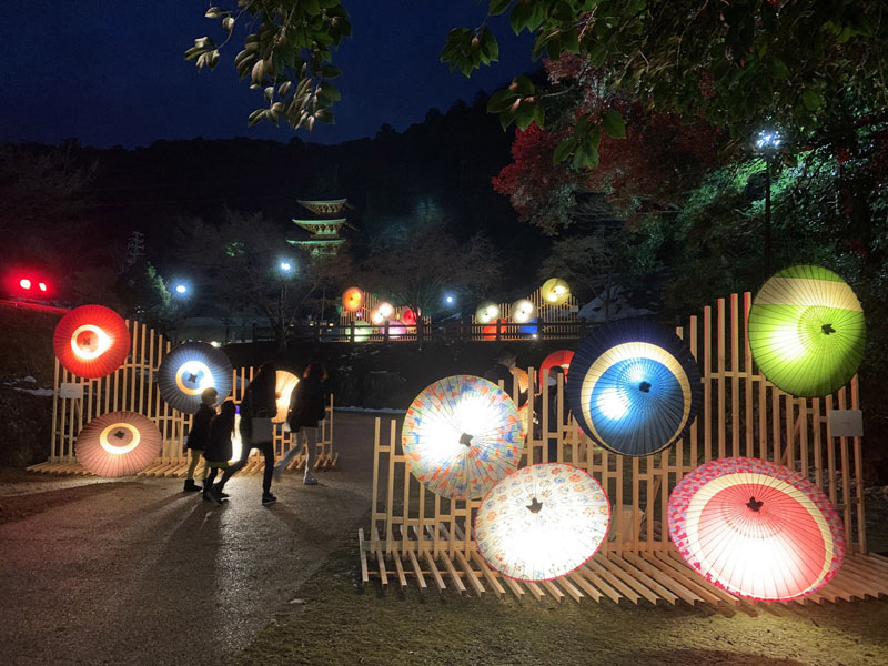 伝統工芸品「岐阜和傘」彩るライトアップ