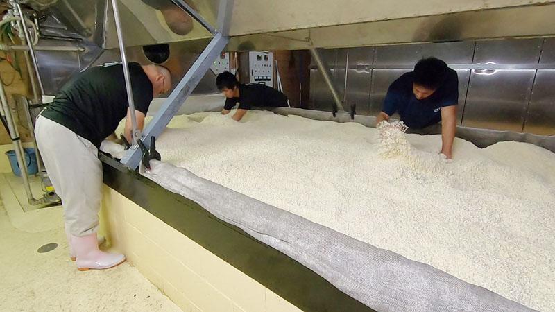 「日本の伝統的酒造り」、無形文化遺産に提案へ