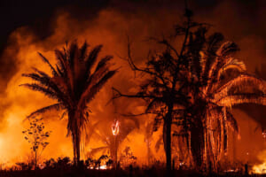 ブラジル北部バラ州で、炎を上げて燃える熱帯雨林＝２０１９年１０月（AFP時事）