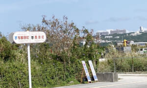 雑草が生い茂っているＭＩＣＥ建設予定地＝沖縄県与那原町・西原町（豊田剛撮影）